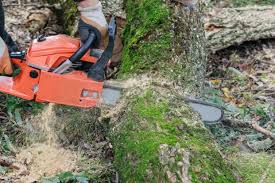 Why were chainsaws invented? for what purpose it was invented