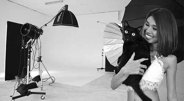 Siam Trade Development – Industrial Development