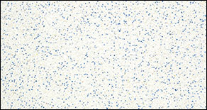 Pool Plaster Colors Chart / PEBBLE-TEC-ORIGINAL - Wise Pool & Spa | In-Ground Pools Spas Pool Services - Leisure pools offers seven stunning swimming pool color options that have been carefully chosen for their beautiful look and the vibe they . Pool Plaster Colors Chart / PEBBLE-TEC-ORIGINAL - Wise Pool & Spa | In-Ground Pools Spas Pool Services - Leisure pools offers seven stunning swimming pool color options that have been carefully chosen for their beautiful look and the vibe they .