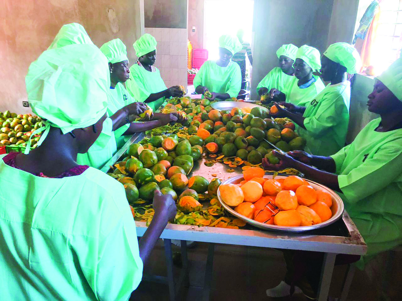 Commerce extérieur: la mangue bio hisse le Burkina à l’international