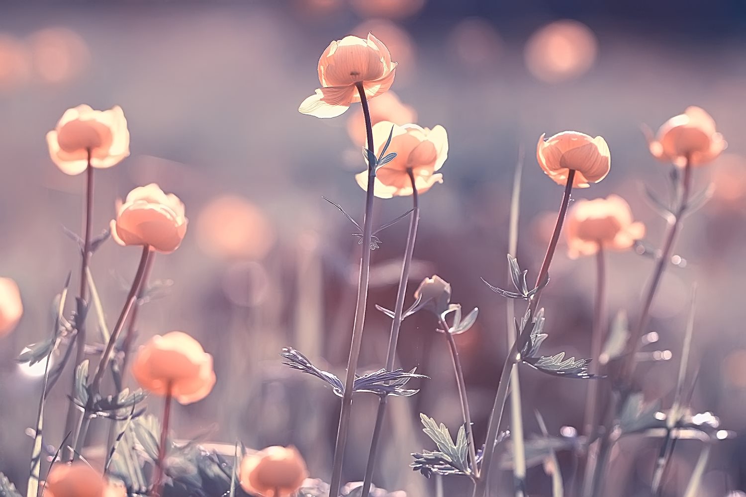 Kinderzelt Vergleich Spielzelte Fur Kinderzimmer Und Garten