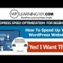 WordPress Speed Optimization Tutorial Videos Made For Beginners (Step ...