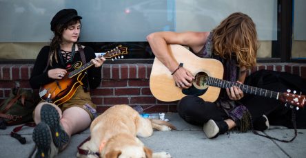 Life can get hectic, so using the power of sound for a calm dog, can help our furry companions feel less impact around our busy schedules. When you're not at home,