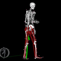 Simtk Pysimtk Simtk Core Multibody Dynamics Tool Kit In Python - Landscape Illustrations - Professional Full HD Collection