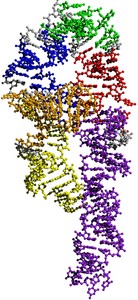 Simtk Sstructview Applet Project Home - Mountain Photos - Elegant High Resolution Collection