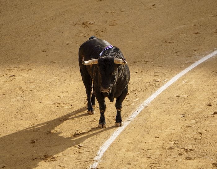 Toros