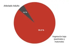 grafico de incendios forestales