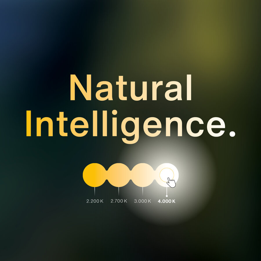 Natural Intelligence By Siteco