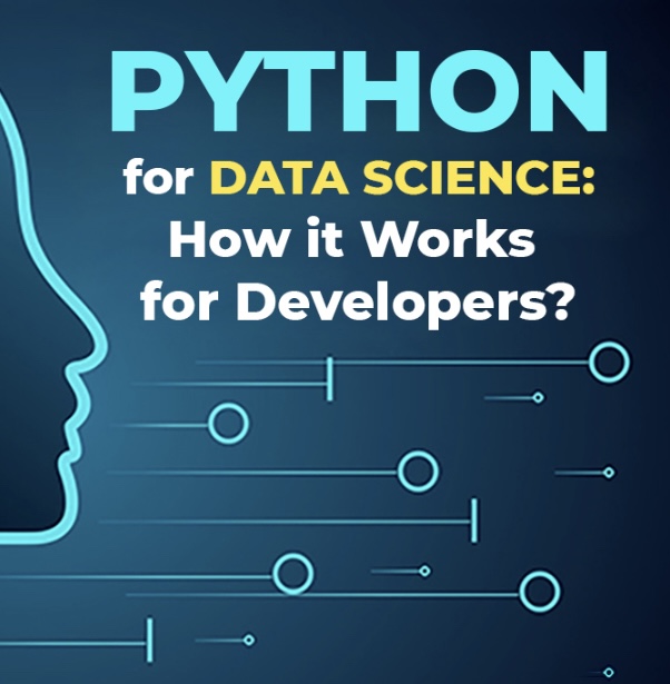 Empowering Data Vision: Data Science Course for Blind Individuals using Python
