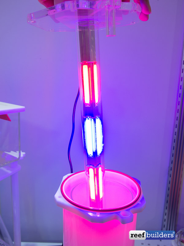 Pax Bellum Arid N24 Macroalgae Chaeto Reactor For 120 250 Gallon Systems Uniquecorals What sort of flow rate v tank volume do you find most success with in chaeto reactors. Pax Bellum Arid N24 Macroalgae Chaeto Reactor For 120 250 Gallon Systems Uniquecorals Keeping nitrate down got my reactor running for a week now with matrix but havent noticed anything yet.