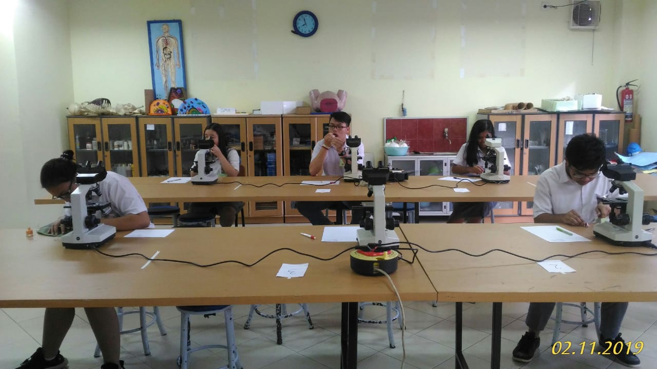 Ujian Praktek Kelas Xii Biologi Ujian Praktek Biologi XII IPS 2 materi Perkembangan pada Biji Kacang Hijau dengan Tujuan Mengetahui Pengaruh Cahaya terhadap PerkecambahanNama.