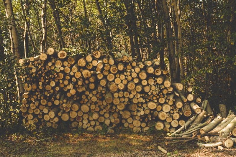 Javascript Typescript React 17 Webpack 5 Code Splitting With - Landscape Backgrounds - Creative HD Collection