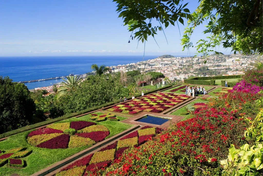 Funchal Madeira Portugal 7 Juli 2015 Botanischer Garten Von Funchal Einer Der Beruhmten Garten In Insel Madeira Mit 2500 Exotischen Pflanzen Aus Allen Kontinenten Lizenzfreie Fotos Bilder Und Stock Fotografie Image 47026299