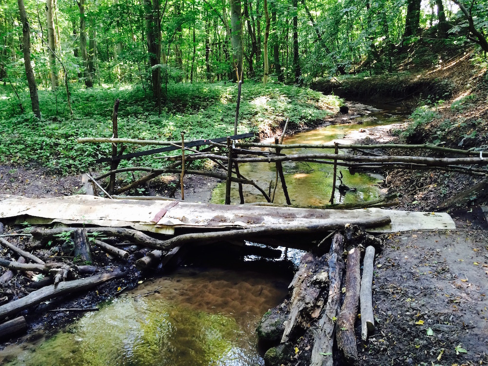 Bazantarnia Forest Park