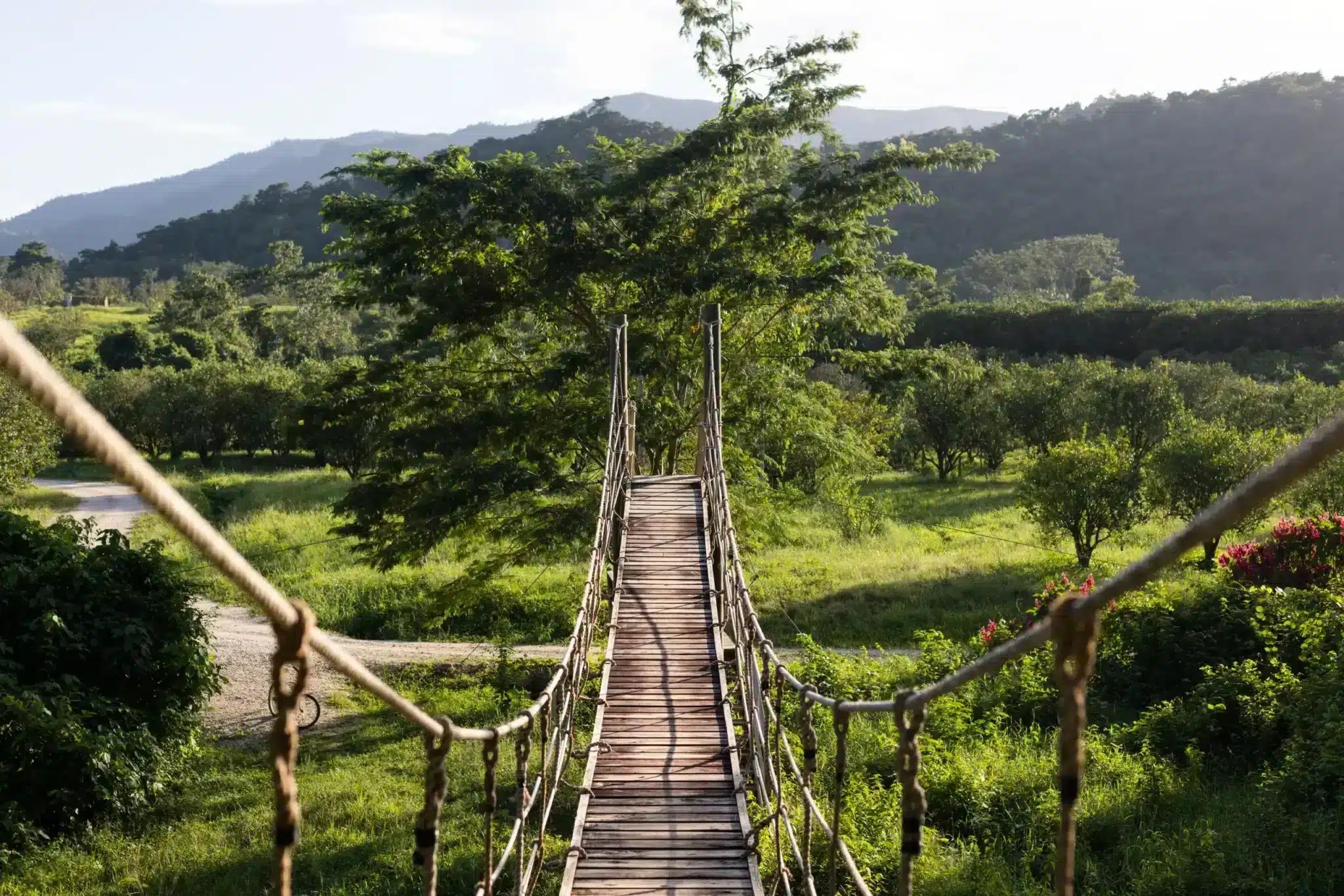 Image from sleepinggiantbelize.com