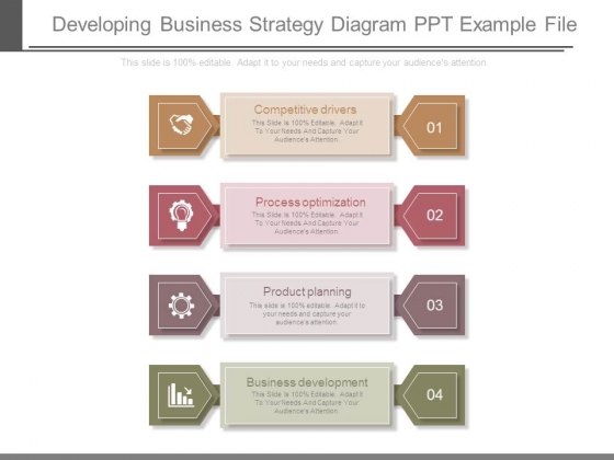 Developing Business Strategy Diagram Ppt Example File Powerpoint Templates