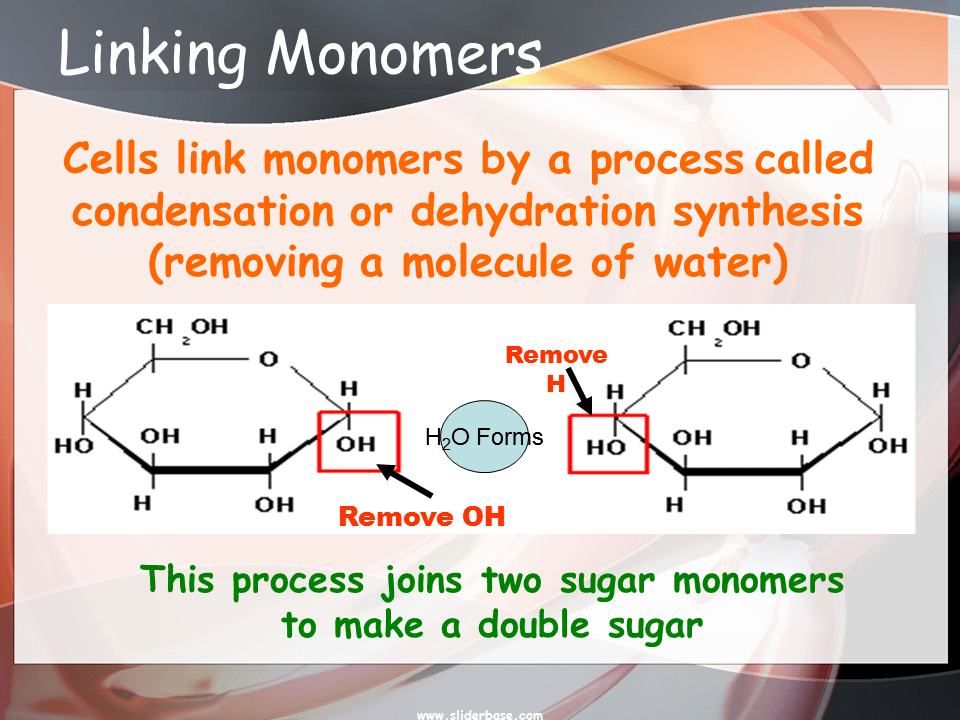 (c) glucose, a sugar, has a ring of carbon atoms and one oxygen atom. Giant Molecules - Polymers