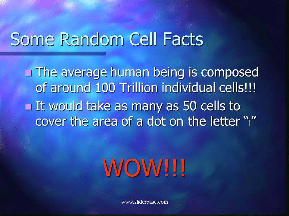 But they do not affect the opinions and recommendations of the authors. The Cell Theory - Presentation Cell biology