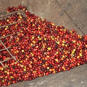 Colombia Excelso EP Huila