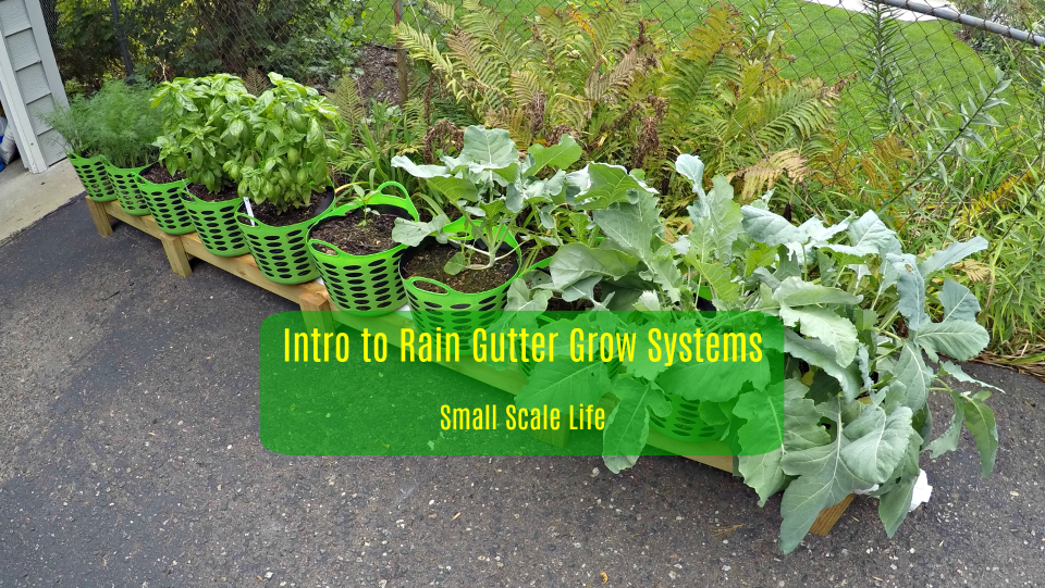 Gardening; Gardening Resources; Raised Beds; Vertical Gardening; Tomatoes; Herbs; Potatoes; Beans; Onions; Peas; Hybrid Rain Gutter Grow System; Rain Gutter Grow Systems; peppers; hydroponics; Larry Hall; Grow Bag Garden System; dill; herbs; jalapenos; wicking beds; Garden Planning