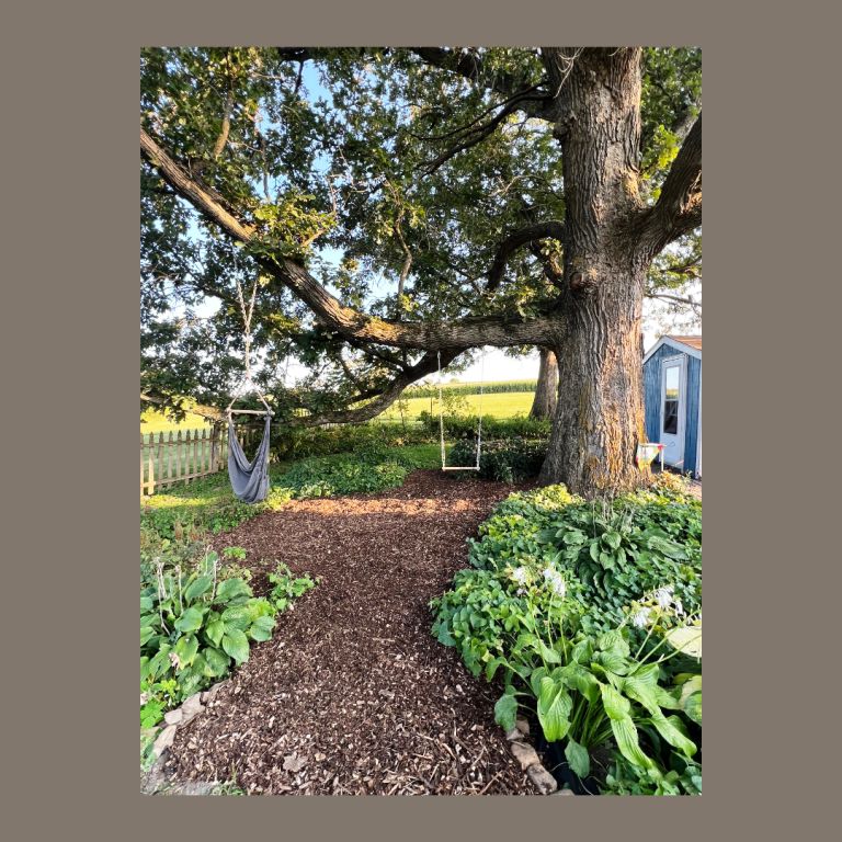 Garden and Homestead, My Farm Journal, Operation WW, swing