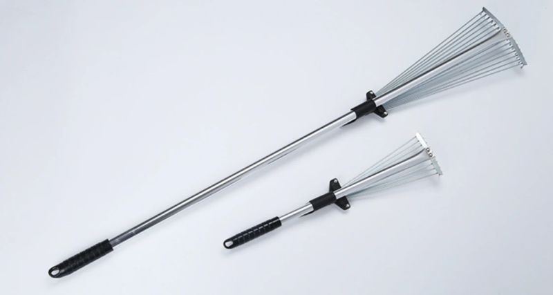 Garden Rake Leaf Foxtail - Best Mountain Images in 8K