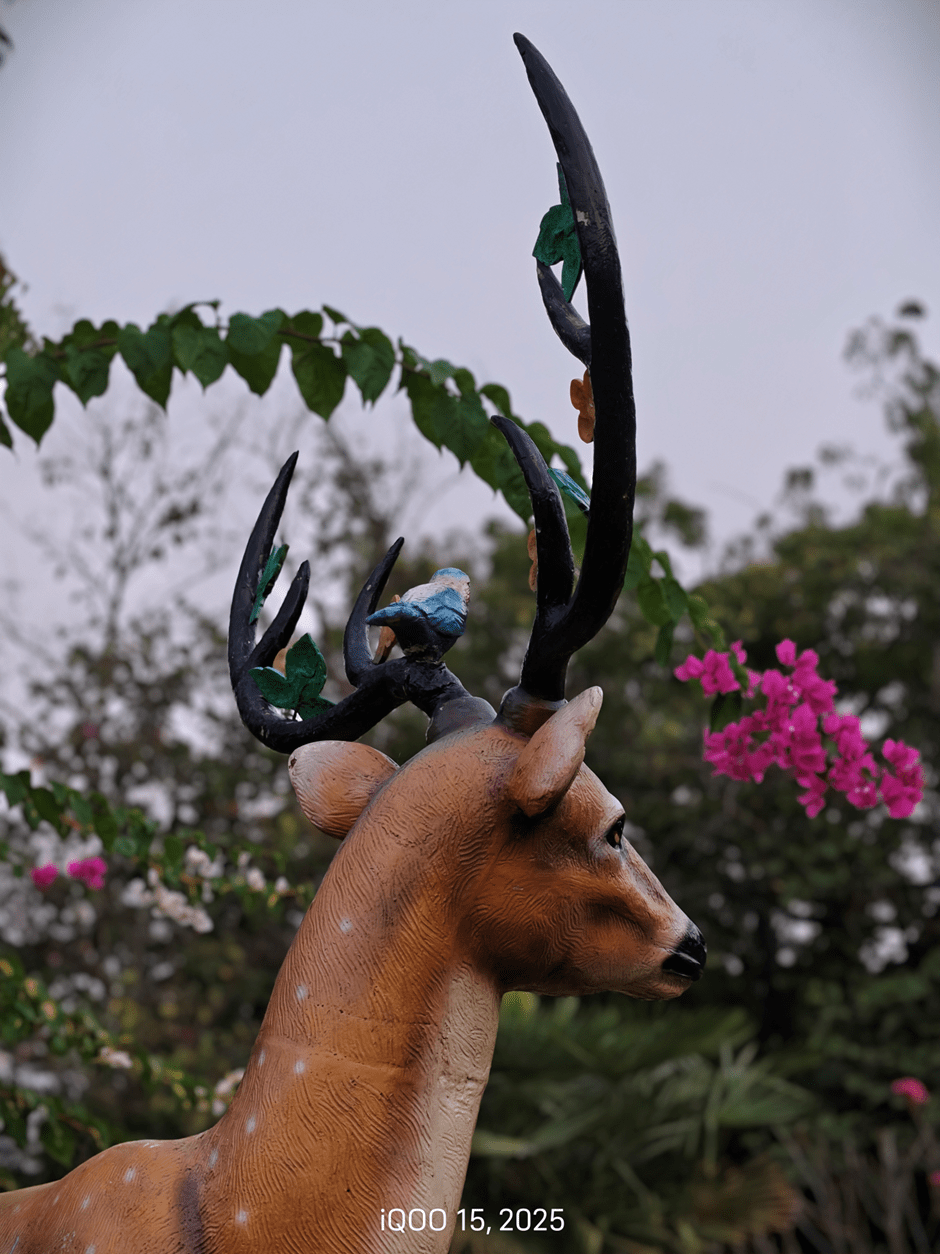 iQOO 15 camera samples