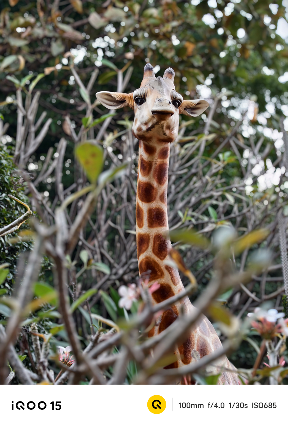 iQOO 15 camera samples