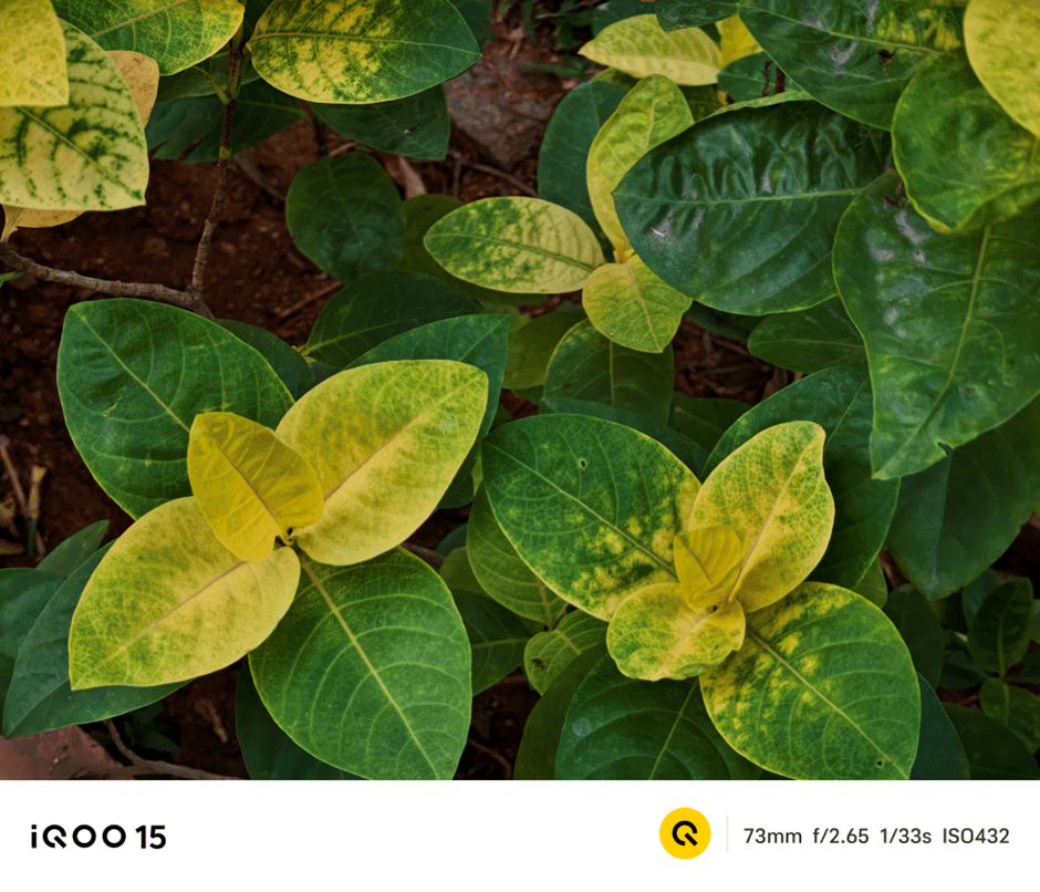 iQOO 15 camera samples