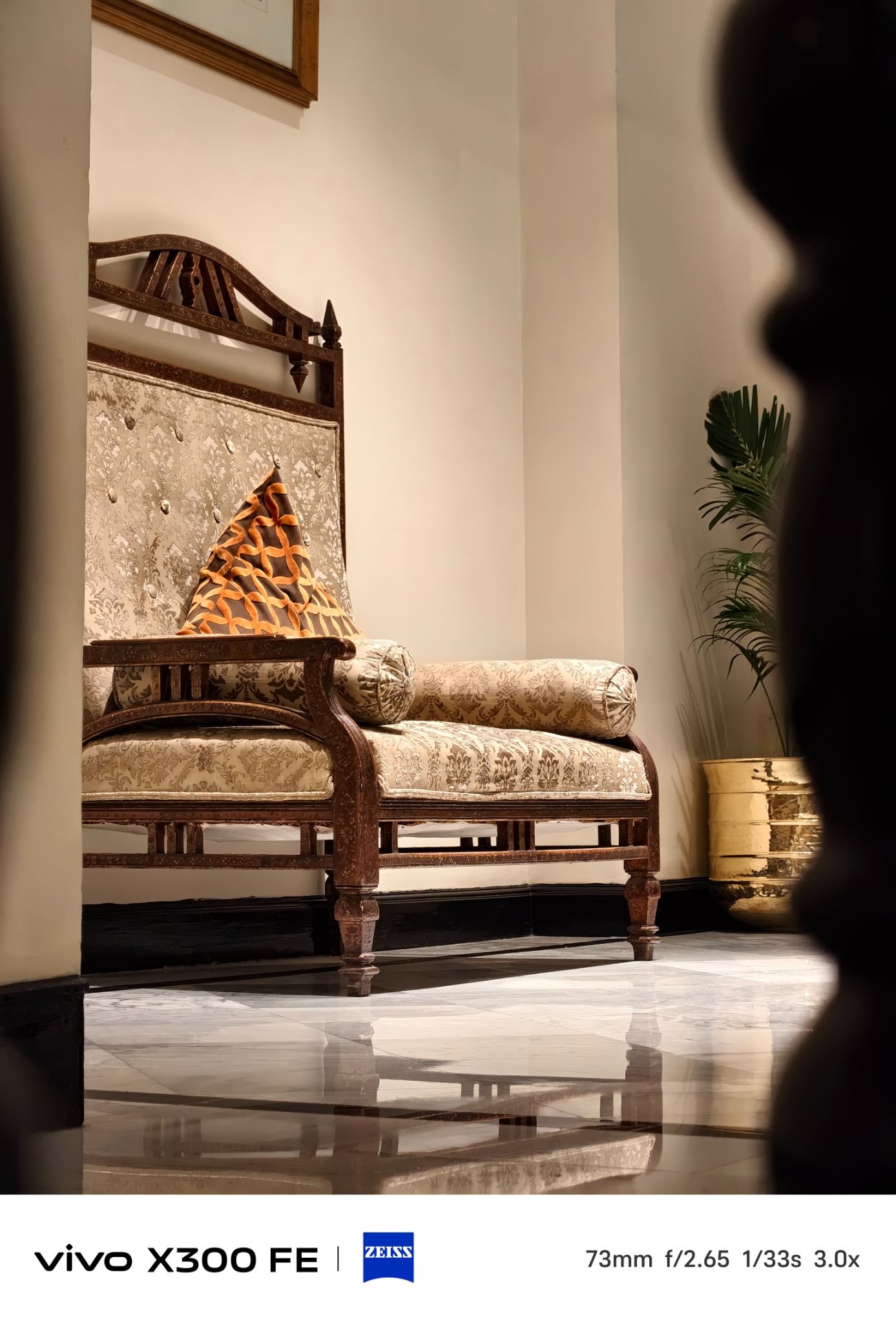 vivo X300 FE camera sample take at 73mm