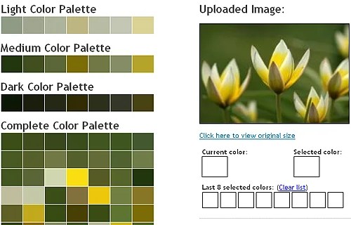 Online Color Tools
