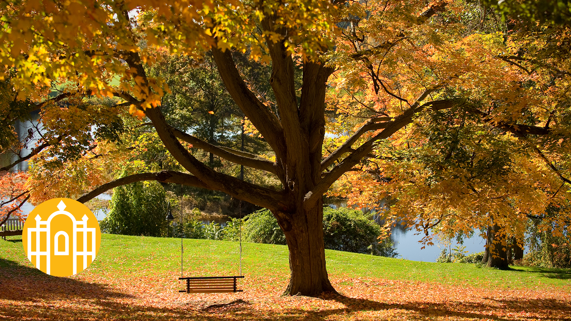 ©image courtesy of thibaut photo by: Campus Photography Smith College