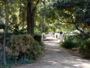 Path with fountains in Parque Maria Louisa