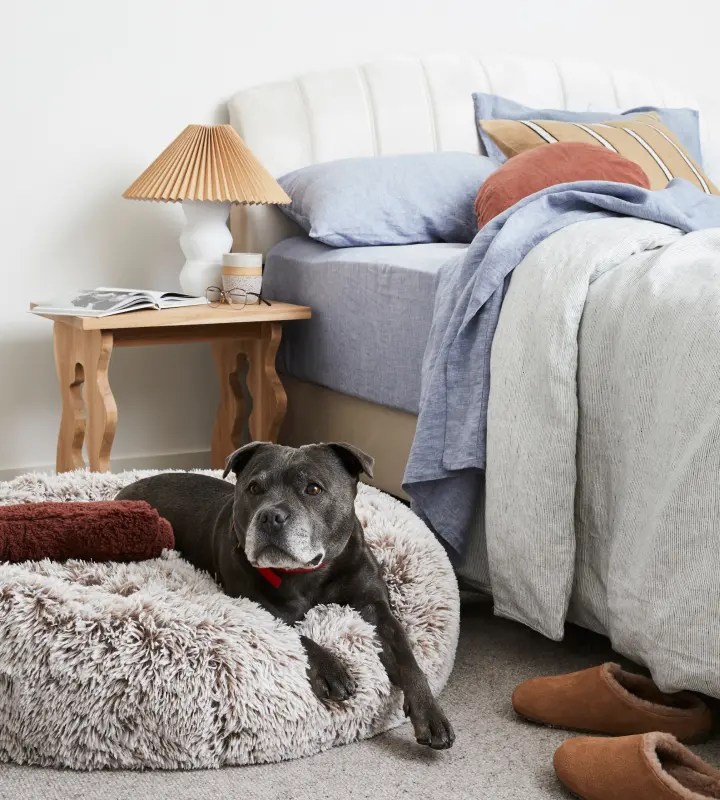 Winter 2025 Collection