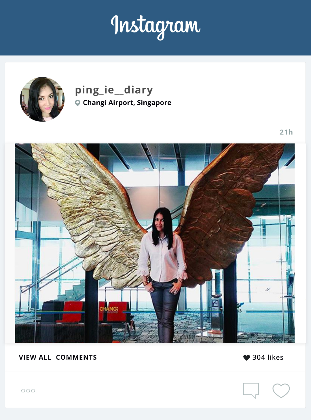 ping_ie__diary