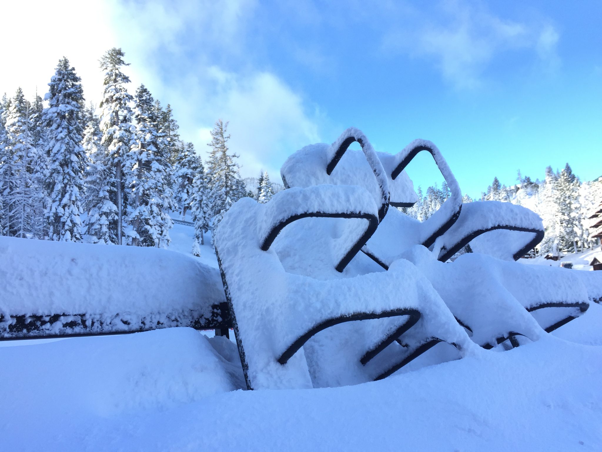 Heavenly in Tahoe bending under the snow pressure