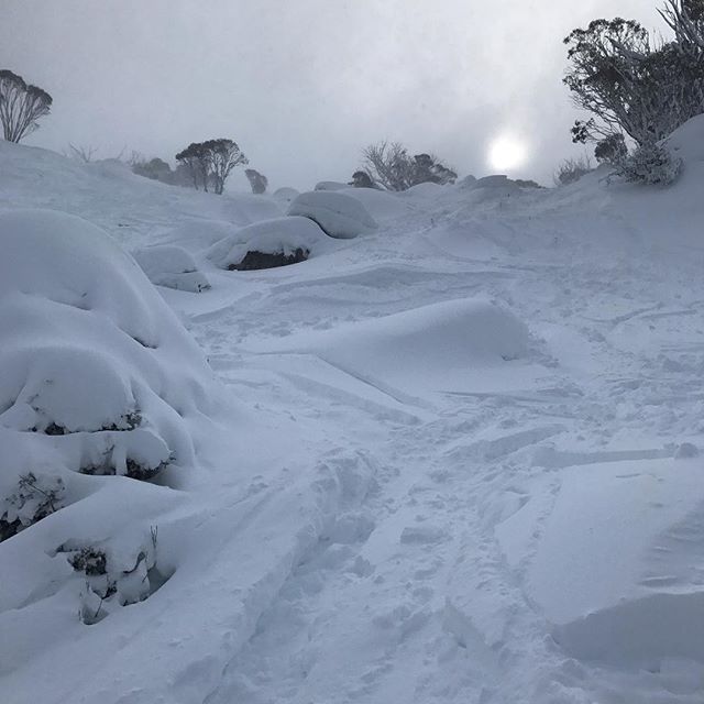 @beau_yates claiming it at Thredbo