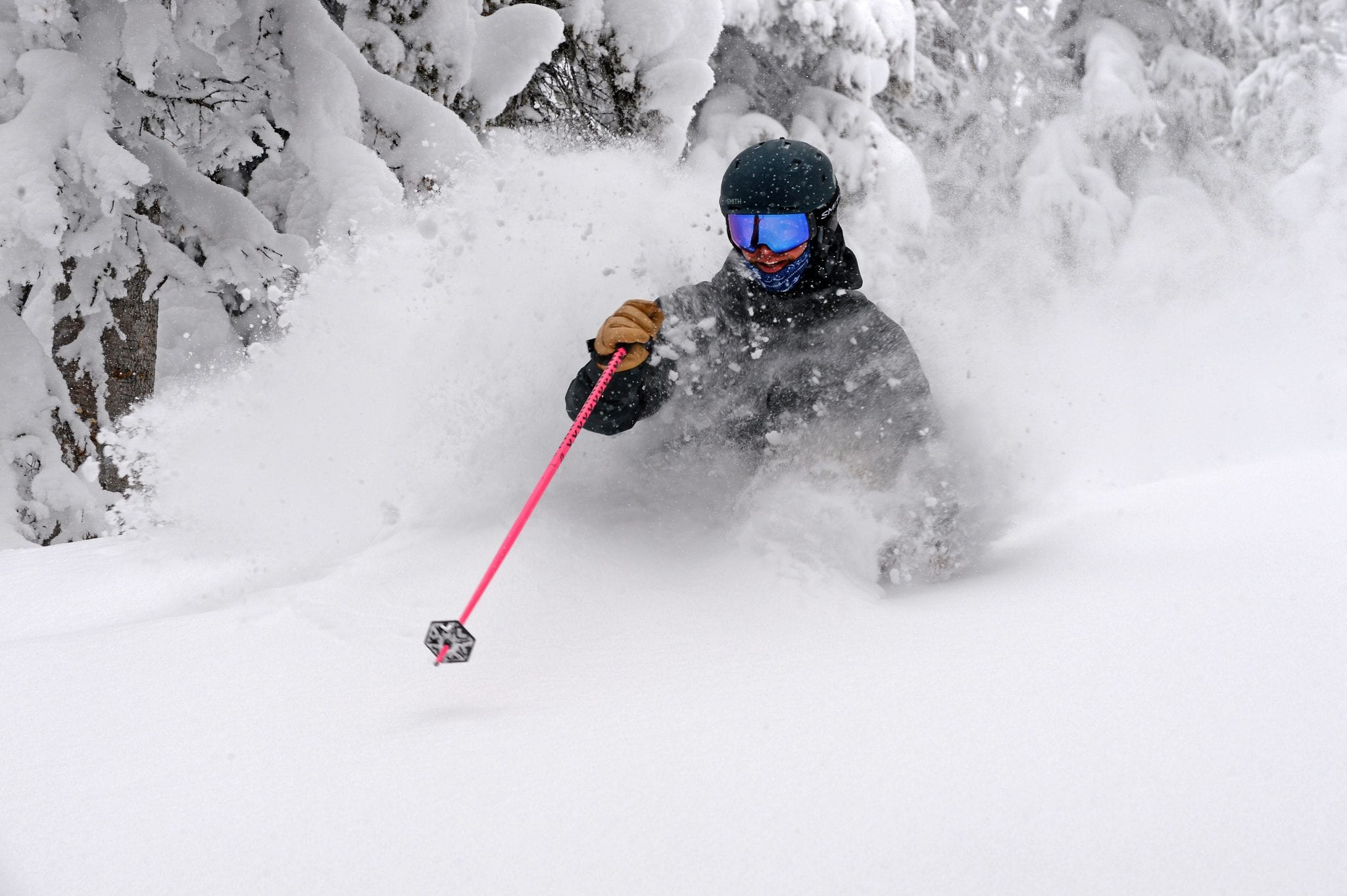 Powder paradise