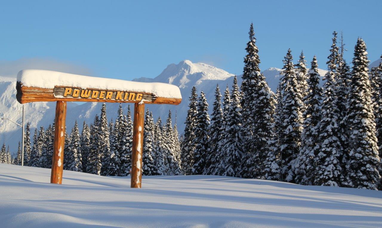 Resized-Powder-King-Sign