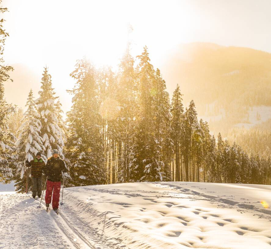 Cross-Country Skiing at Panorama Mountain Resort. Photo credit: Destination BC/Stirl and Rae Photo