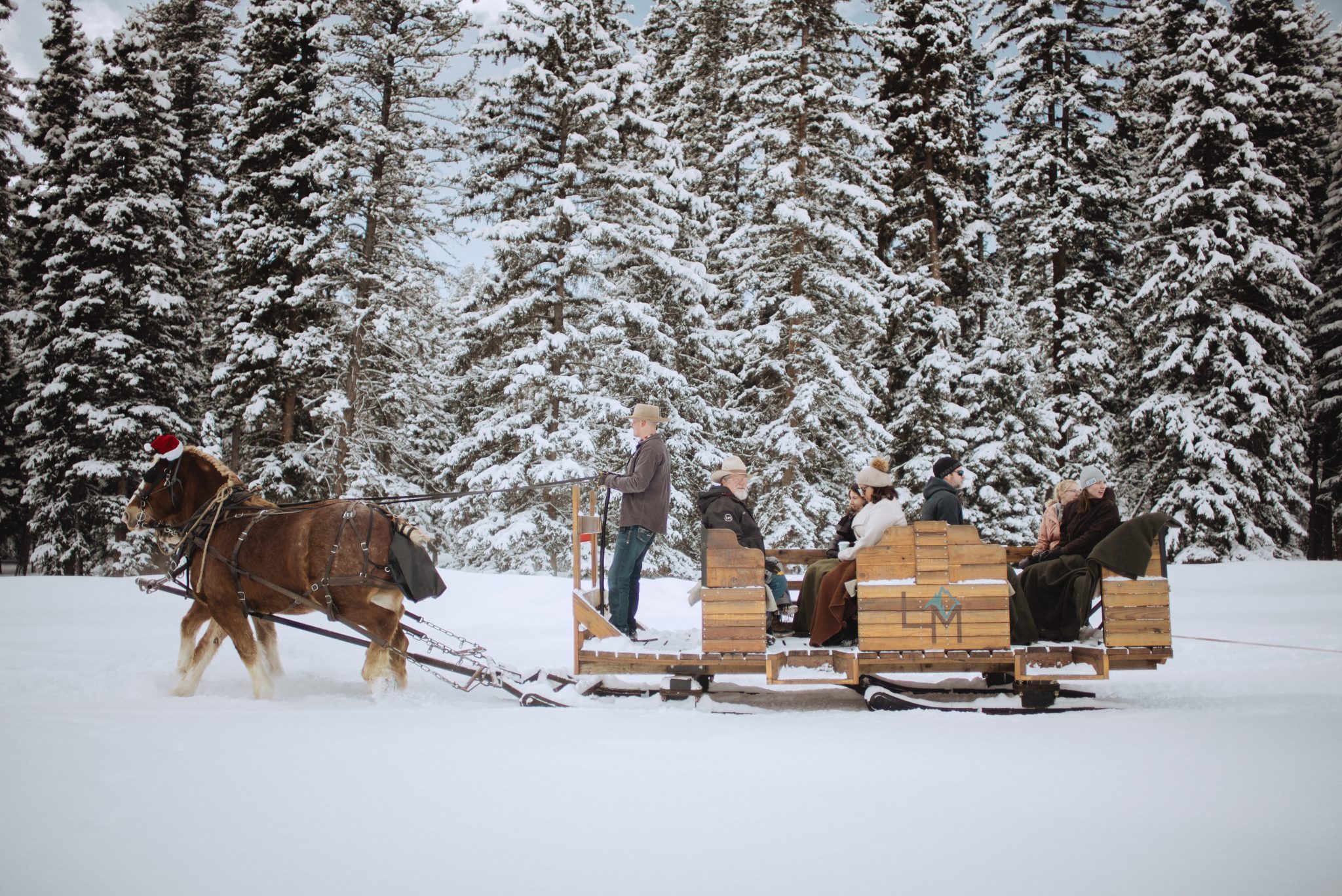 lone mountain sleigh ride