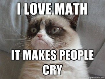 grumpy cat likes math