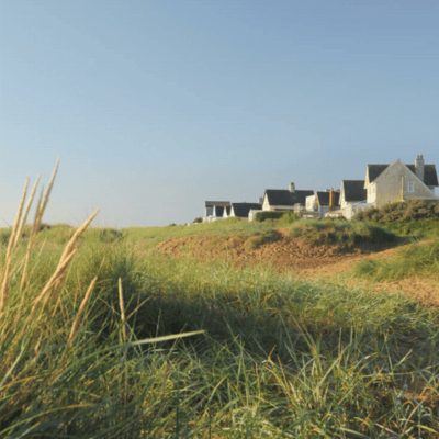 A picture of grass dunes in front of a row of houses