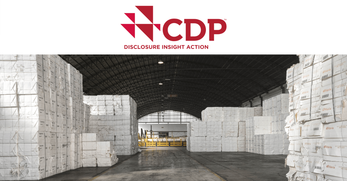 Sofidel Inserita Da Cdp Fra I Leader Globali 2021 Per Il Coinvolgimento Dei Fornitori Nella Lotta Contro Il Cambiamento Climatico - Sofidel 628_x_1200_png