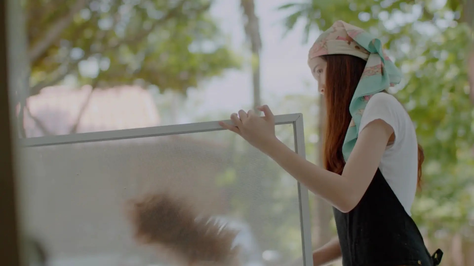 Woman dusting a window screen outside