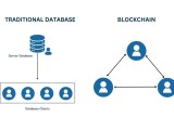Blockchain Vs Traditional Databases Key Differences Softait