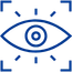 visual intelligence