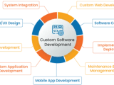 Custom Software Development Services In Australia