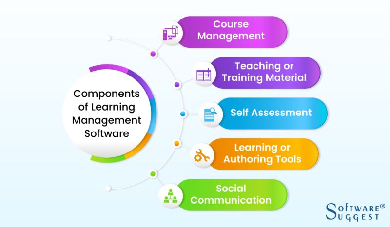 Learning Management System Software Automate Learning Management - Creative Gradient Background - Retina