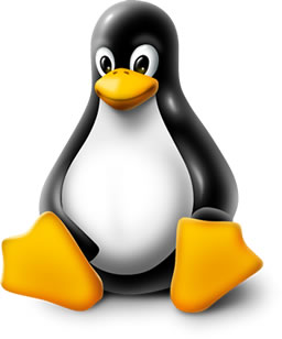 Linux Kernel logo